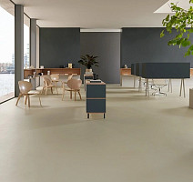 Forbo Marmoleum Solid Walton 3378 stucco фото 2 | FLOORDEALER